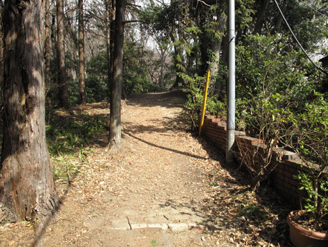 20180223hike (20)